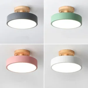 Nordic Macaron Ceiling Lamp Iron  Lamps for Living Room LED Lights for Room White/Green Furniture Luminaire Ceiling Lighting