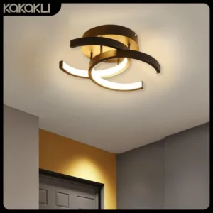 Modern Household LED Ceiling Light Remote Dimming Small Decor Ceiling Lamp Surface Installation Corridor Bedroom Aisle Light