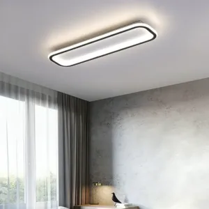 Ultra Thin LED Ceiling Light, Living Room, Dining Room, Bedroom, Corridor Light, Home Ceiling Light, Wardrobe, Porch Lighting