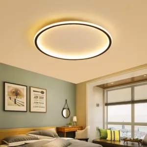 DINDALLED Modern LED Ceiling Light with Remote, Round Chandelier for Living Room Bedroom, Dimmable Warm White/Daylight Lighting