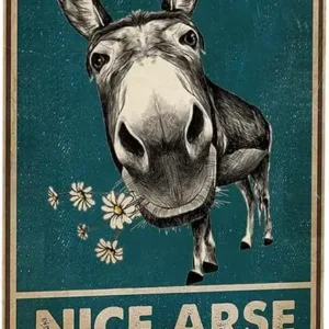KDLY Funny Donkey Face Nice Arse Retro Metal Tin Sign Vintage Aluminum Sign Home Bar Farm Bathroom Toilet Decor Art Gift