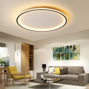 LED Modern Ceiling Light, Living Room, Bedroom, Hallway, Balcony, Circular Light, Pendant Lamp, Indoor Ceiling Lighting Fixture
