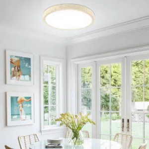 Modern round LED Ceiling Light 3000-4500-6000K Warm Cool Neutral White Flush Mount for Kitchen Living Room Bedroom Balcony