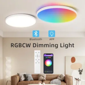 Modern Ceiling Lamp With Remote Control Room Decor Dimmable RGB LED Ceiling Light Fixture For Living Room Bedroom Corridor