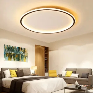 Modern Minimalist LED Ceiling Light with Remote Control for Living Room Bedroom Aisle Balcony Circular Home Interior Fixture