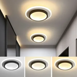 Modern 3 Color Temperature LED Ceiling Lamp Baked Enamel Many Styles Hallway Lamps Balcony Lights Bedroom Living Room 90V-260V