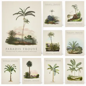 Tropical Palm and Banana Tree Posters Vintage Botanical Prints Canvas Painting Island Wall Art Pictures Home Living Room Decor