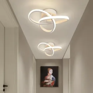 LED Modern Style Ceiling Lamp Household Chandelier Three Colors Lamp Bedroom Light Surface Installation Dining Room Lamp