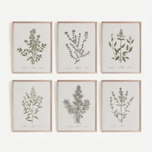 Herb Garden Vintage Botanical Flower Sage Green Plant Illustration Poster Canvas Painting Wall Pictures Home Farmhouse Decor