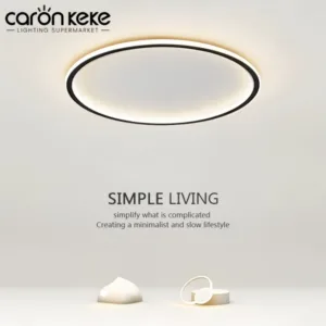 Nordic LED Ceiling Light with Remote Control Dimmable Living Room Bedroom Balcony Aisle Light Ultra-thin Circular Ceiling Lamp