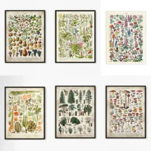 Vintage Antique Book Wall Art Plant Illustration Medicinal Herb Fruit Seaweed Tree Mushroom Canvas Painting Home Decor Gift