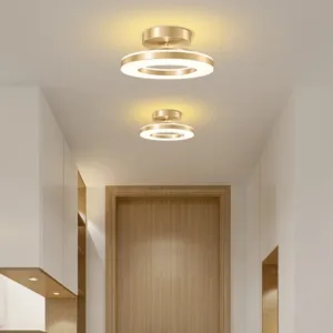 Modern LED Ceiling Lamp Indoor Lighting Home Decoretion For Bedroom Dining Table Living Room Balcony Corridor Ceiling Light