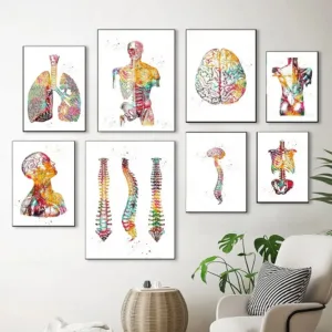 Scandinavian Simple Wall Art Human Anatomy Spine Heart Brain Teeth HD Canvas Poster Prints Home Bedroom Living Room Decoration