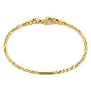 Minimalist Thin Gold Snake Bone Stainless Steel Bracelet for Women Man Simple Slim Chain Bangle Daily Wear Jewelry