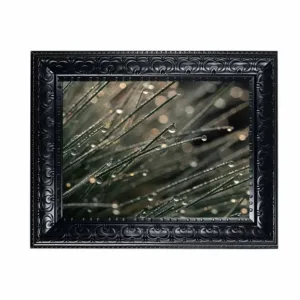 Framed Canvas Wall Art Dew Drop On Grass Print, Neutral Botanical Nature Macro Painting for Rustic Farmhouse Living Room Decor