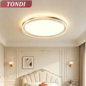 Ceiling Light Modern LED Home Decor For Bedroom Dining Room Study Kitchen Chandelier Room Decoration Indoor Lighting Fixture