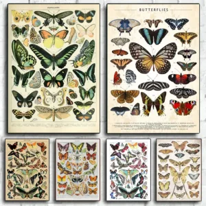 Vintage Butterfly And Insects Collection Chart Poster Canvas Painting Retro Aesthetic Art Wall Picture Living Room Home Decor