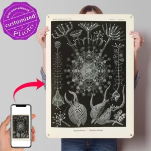 Ernst Haeckel Phaeodaria Scientific Poster Retro 3D Printed Metal Signs Customized Wall Hanging Gift for Room Decor Tin Sign