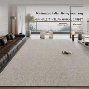 2025 New Italian Minimalist Living Room Rug Waterproof Stain Resistant Washable Easy Clean Luxury Carpet