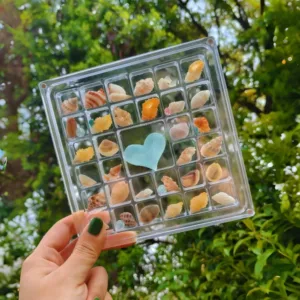 Acrylic Magnetic Seashell Display Box 33 Grids Seashell Holder Stackable Small Crafts Organizers Container for Bead Nail Jewelry