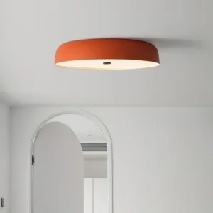 Metal Ceiling Lamp Surface Mounted Led Downlight for Living Room