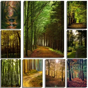 Natural Landscape Sunshine In The Forest Canvas Painting Green Tree Plant Posters Wall Art Prints Home Decor Frameless Painting