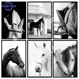 1PC/6pcs Black White Photography Horses Posters and Prints Wildlife Portrait Canvas Painting Wall Art Home Bar Room Decoration