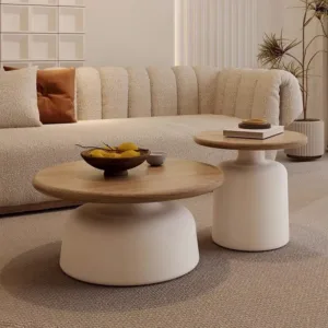 Modern Nordic Coffee Table Premium Aesthetic Elegant Design Side Table Storage Luxury Corner Tables Living Room Furniture