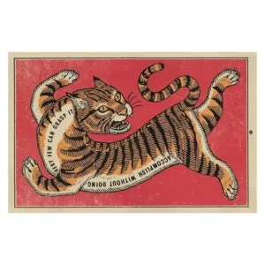 VIKAMA Tiger Print Rug Living Room Bedroom Decorative Rug Soft Comfortable Machine Washable Home Decor Rug