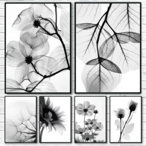 Black and White Plant Flowers, HD Canvas Print Wall Art Poster, Suitable for Home, Living Room, Room, Bar Decoration