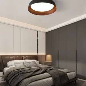Modern simple ceiling lamp LED lighting fixtures suitable for bedroom study living room lamps corridor balcony ceiling lights