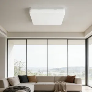 Minimalist LED Ceiling Lights Square Ultra-Thin Panel Light Flush Mount Fixture Modern Home Lighting for Bedroom Kitchen Hallway