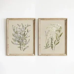2PCS Vintage Botanical Wall Art Flower Art Poster Blossom Painting Art Print Canvas Paintings For Room Decor Home Decor