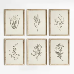 Retro Minimalist Plant-themed Floral Print Set Featuring Blooming Flowers Painted Art Posters and Plant Art Prints