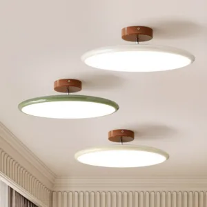 Nordic Ceiling Lamp Adjustable Downlight For Living Room Bedroom Official-website Lights