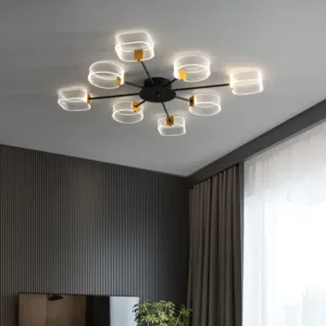 Nordic Industrial Style Ceiling Lamp Indoor Creative Iron Black Chandelier Parlor Dining Bedroom Acrylic Modern Ceiling Lights