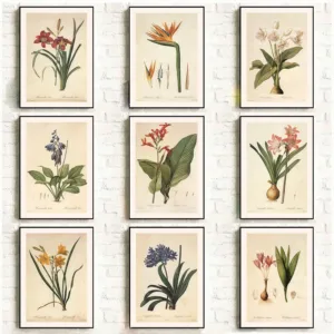 Vintage Classic Rhizome Knowledge Plant Flowers Illustration Poster Canvas Painting Wall Art Pictures Home Room Aesthetic Decor