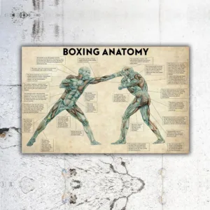 Boxing Anatomy Vintage Canvas Paintings on the Wall Art Boxing Posters and Prints Boxing Inspiring Pictures Home Decor Cuadros