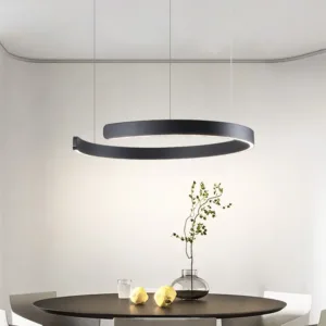 Ceiling lights living room dining room bedroom kitchen light Nordic modern chandelier simple ring light led pendants round lamps